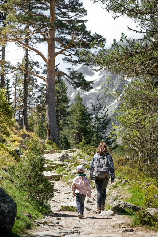 Step Into the Wild: A Journey Across Nature’s Best Trails