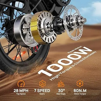 URLIFE 1000W E20 Electric Bike Removable 48V Battery