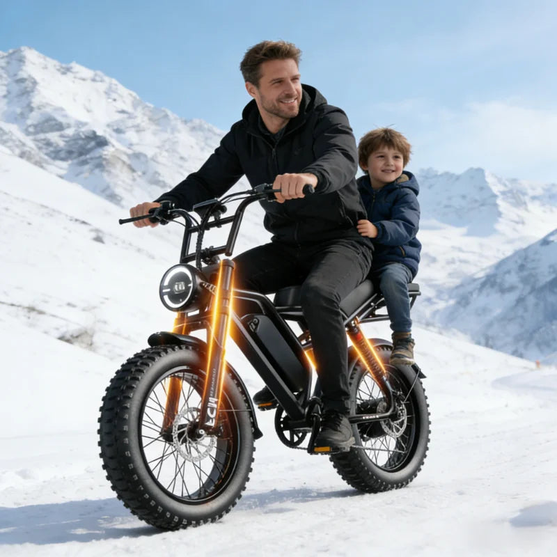 ZEFIORA Electric Fat Bike 1000W 2000W Brushless Motor