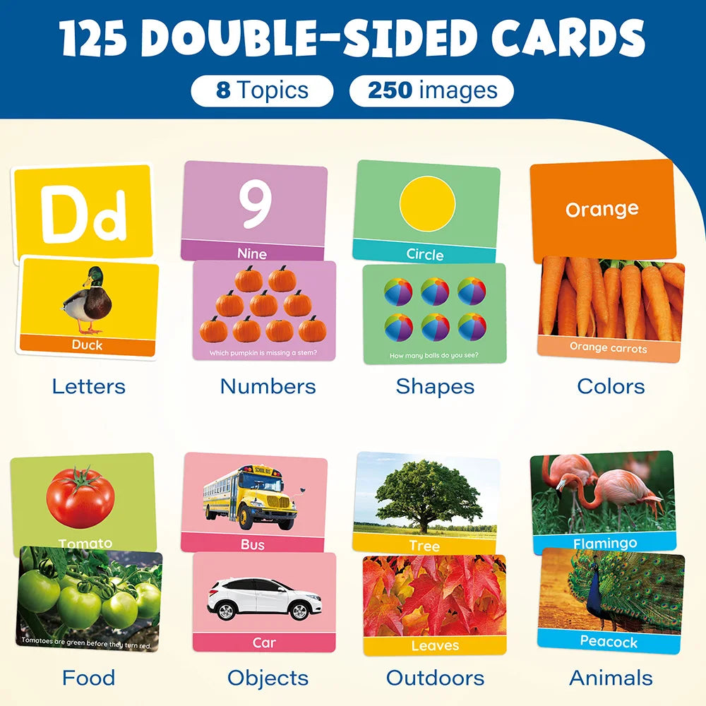 Double-Sided Alphabet And Numbers Flash Cards For Toddlers